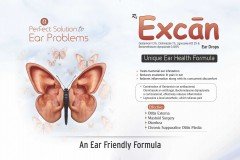 Excan-Ear